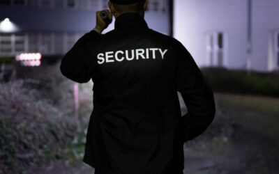 Top Reasons Why You Need Professional Security for Your Business