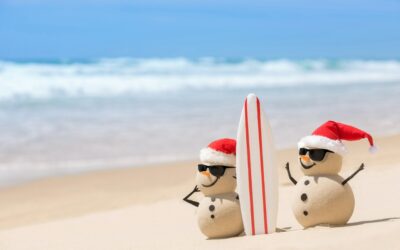 Preparing for Holiday Security Challenges: Tips for Businesses and Communities